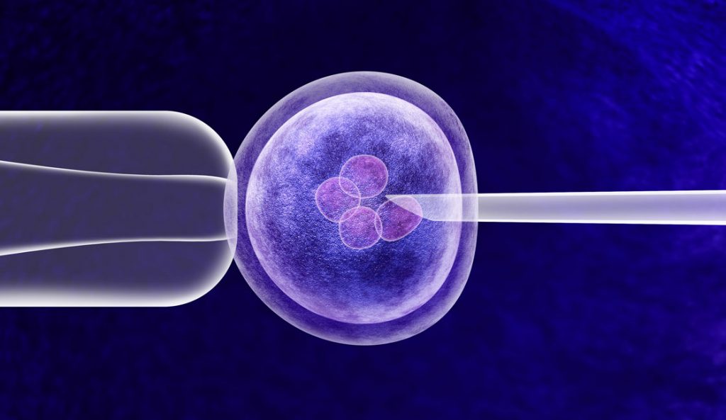 IVF Services